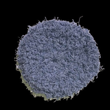 Cotton Scrubby